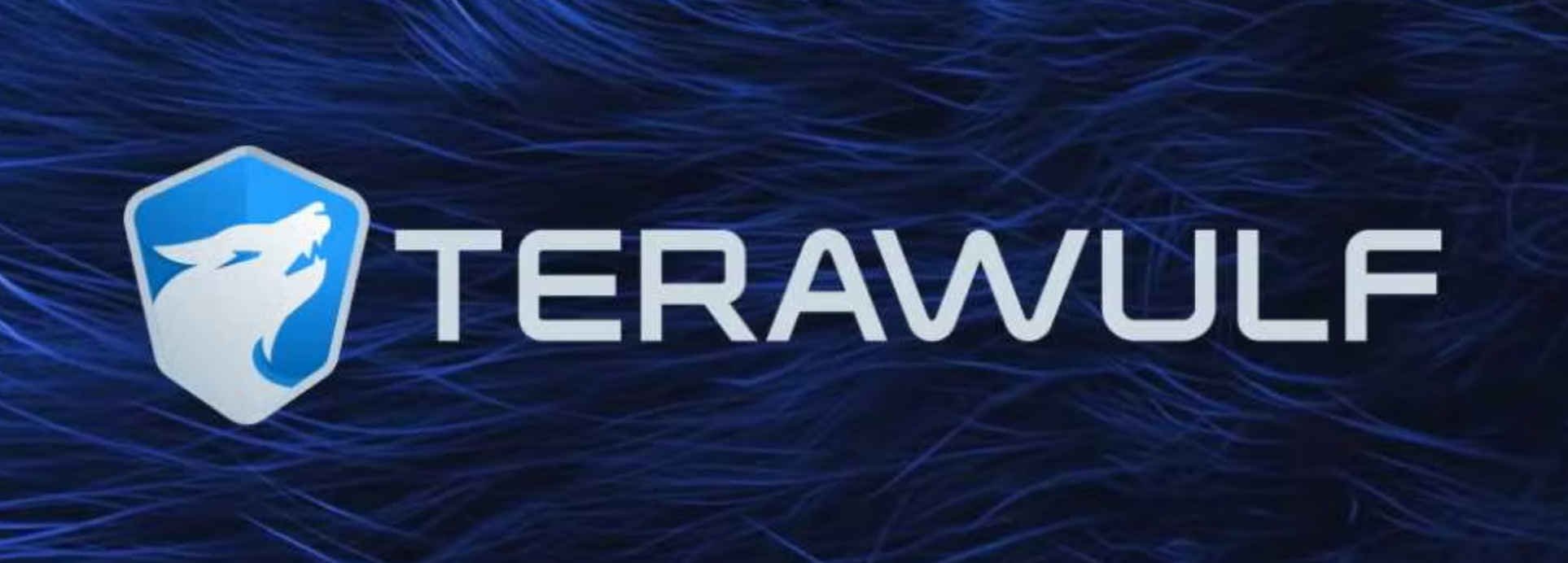 TeraWulf 투자 분석: 성장 잠재력과 리스크